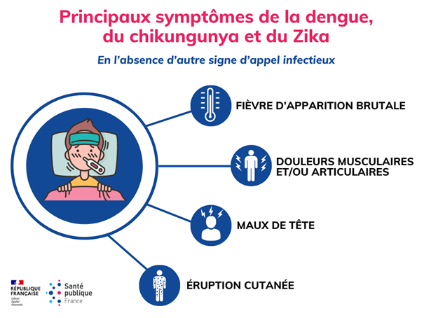 Principaux symptômes des maladies vectorielles