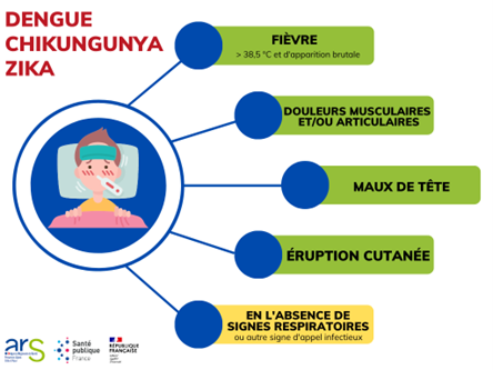 Quels sont les principaux symptômes de ces maladies ?