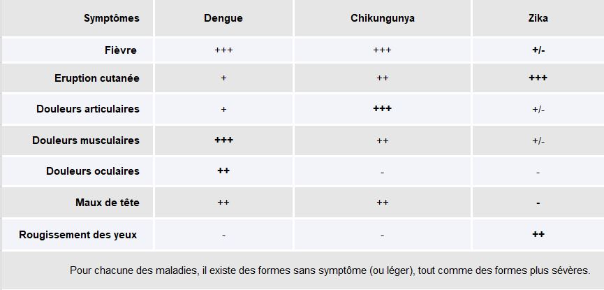 Symptômes maladies vectorielles